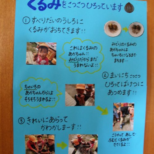 くるみニュース。