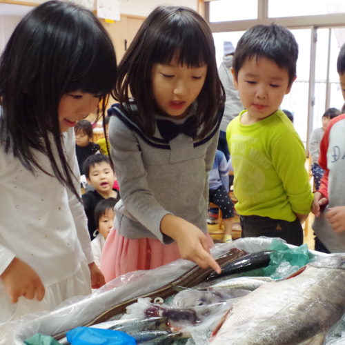 お魚教室がありました！