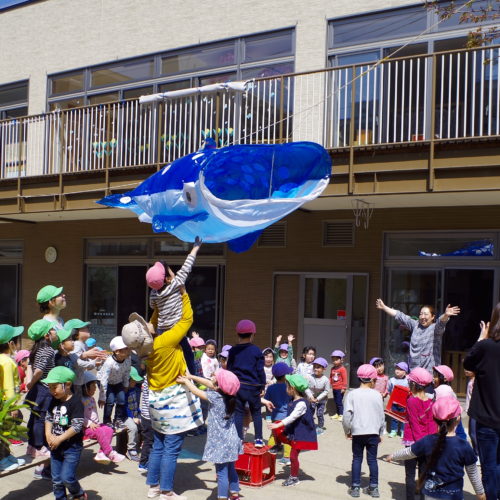 ジンベイザメのぼり！？