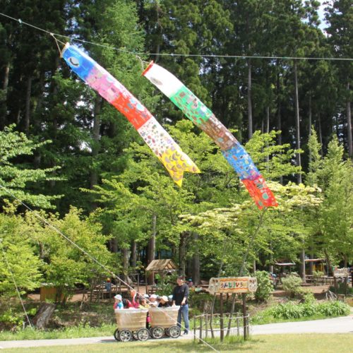 こいのぼり上がったよ。