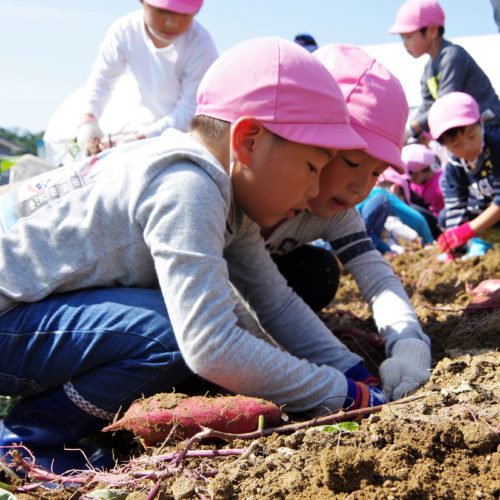 遠足に行ってきたよ!①【パリス錦町保育園】 遠足に行ってきたよ!①【パリス錦町保育園】