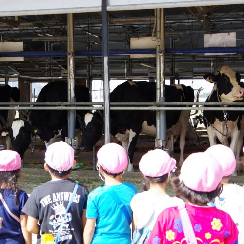 遠足に行ってきたよ!②【パリス錦町保育園】 遠足に行ってきたよ!②【パリス錦町保育園】
