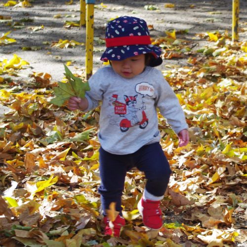 秋のお散歩。【パリス錦町保育園】