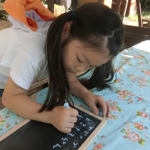 たいようレストラン開店です‼【パリス保育園】