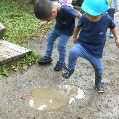 水たまりピチャピチャ♪【パリス保育園】
