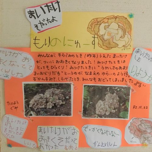 まい茸、とれたよ‼【パリス保育園】