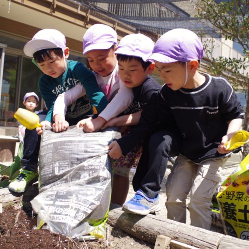 畑をつくろう！【パリス錦町保育園】