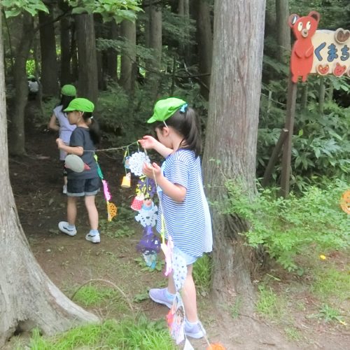 星に願いを…。森の中の七夕【パリス保育園】 星に願いを…。森の中の七夕【パリス保育園】