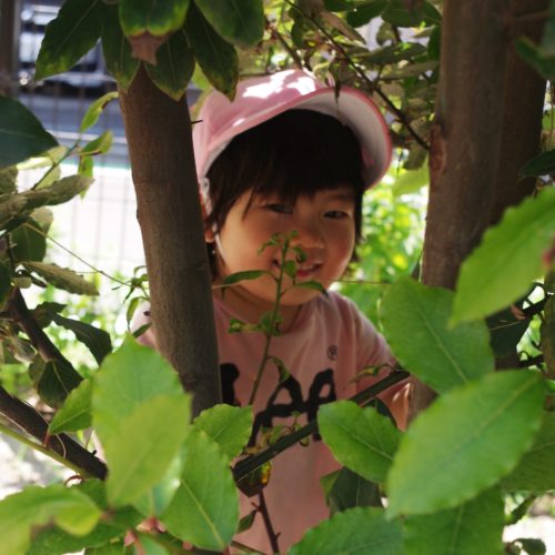 遊びから学ぶ？【パリス錦町保育園】