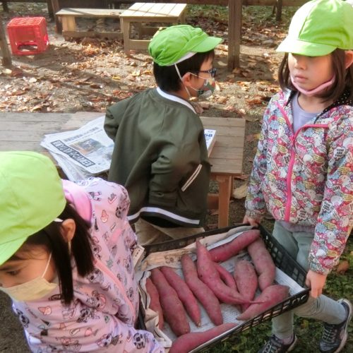 焼いもパーティー完結編♪【パリス保育園】 焼いもパーティー完結編♪【パリス保育園】
