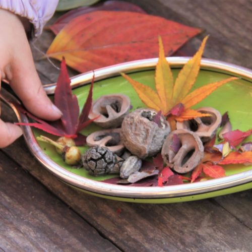 森のごちそう 【パリス保育園】 森のごちそう 【パリス保育園】