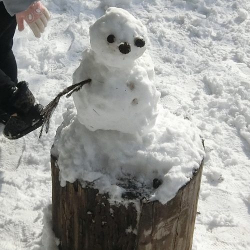 ぼうけんの森に雪が降ったよ！！【パリス保育園】