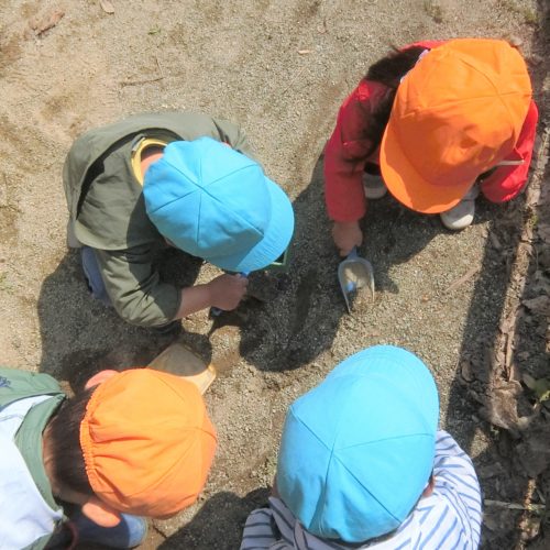 楽しいこと見つけたよ♪【パリス保育園】