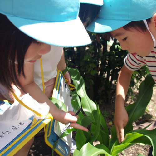 園庭には遊びがたくさん！【パリス錦町保育園】