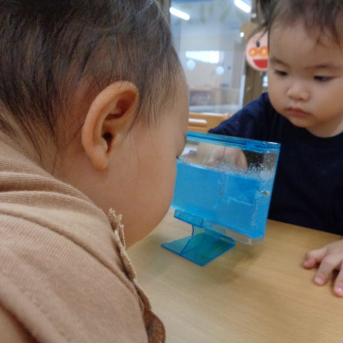 なんかいるよ?!【パリス榴岡保育園】 なんかいるよ?!【パリス榴岡保育園】