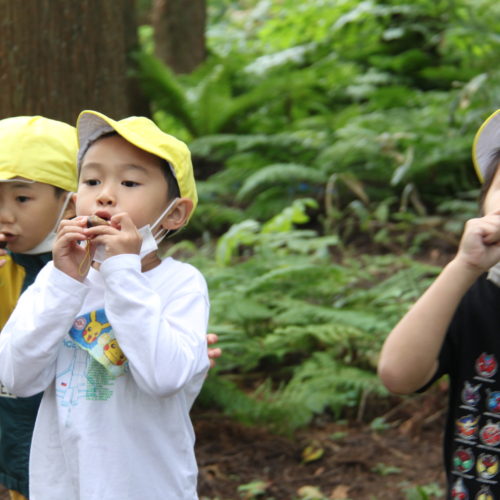 木の実で笛つくったよ！【パリス保育園】