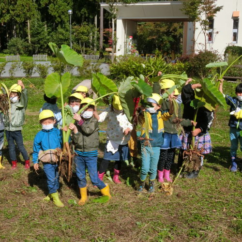 収穫の秋～‼　【パリス保育園】