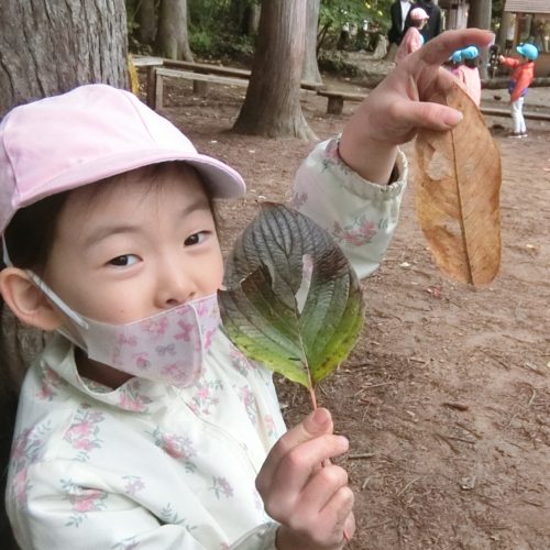 おばけはっぱ？！【パリス保育園】