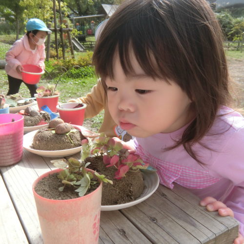 人気のケーキ屋さん♪ 【パリス保育園】