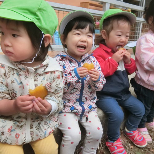 焼いもパーティーしたよ!!【パリス保育園】 焼いもパーティーしたよ!!【パリス保育園】