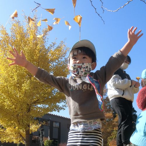 きれいな秋見~っけ♪ 【パリス保育園】 きれいな秋見~っけ♪ 【パリス保育園】