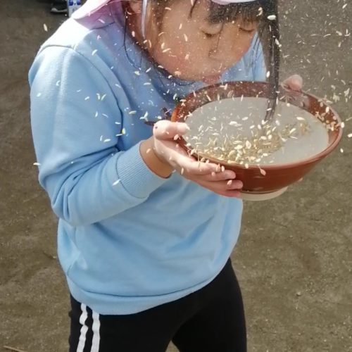 初挑戦だった米作り！  【パリス将監西保育園】