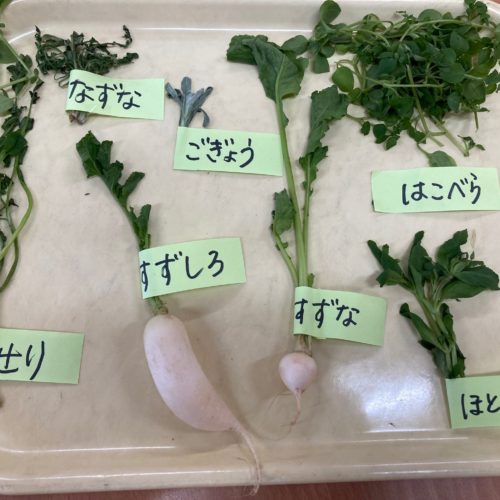 春の七草たべたよ♪  【パリス将監西保育園】