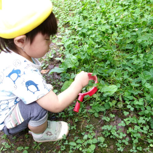 ジュースができるまで…⁉　【パリス保育園】