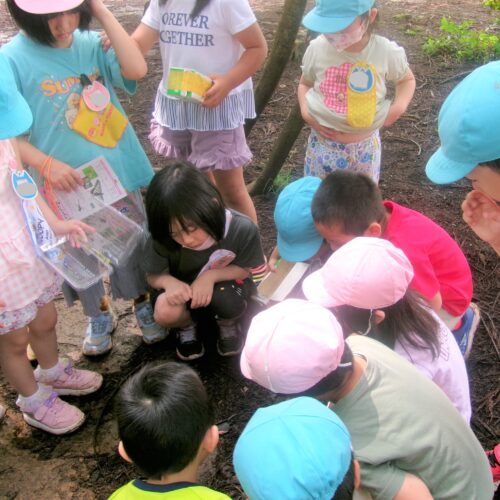 これはいったい何？！【パリス保育園】