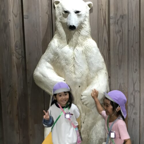 ホッキョクグママスター🐻‍❄️⁉⁉【パリス将監西保育園】