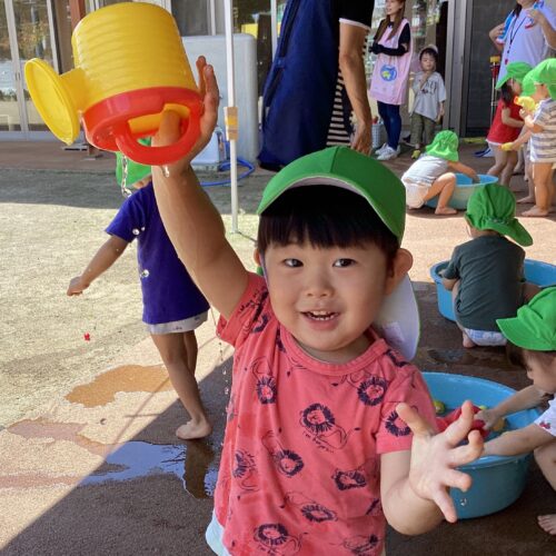 プール掃除したよ🧽🧽【パリス将監西保育園】