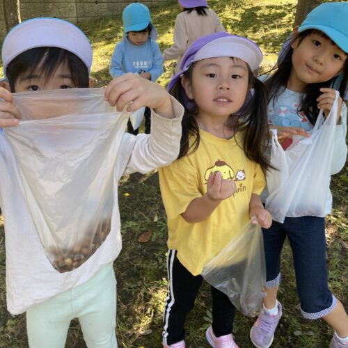 お散歩で秋の公園へ…🍁【パリス将監西保育園】