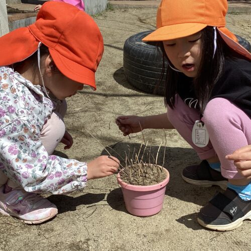 好きなあそびはね…【パリス将監西保育園】