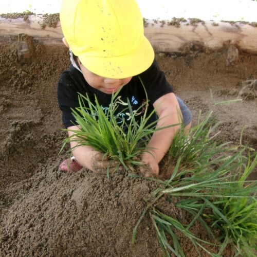 小さなお山をつくったよ♪【パリス保育園】