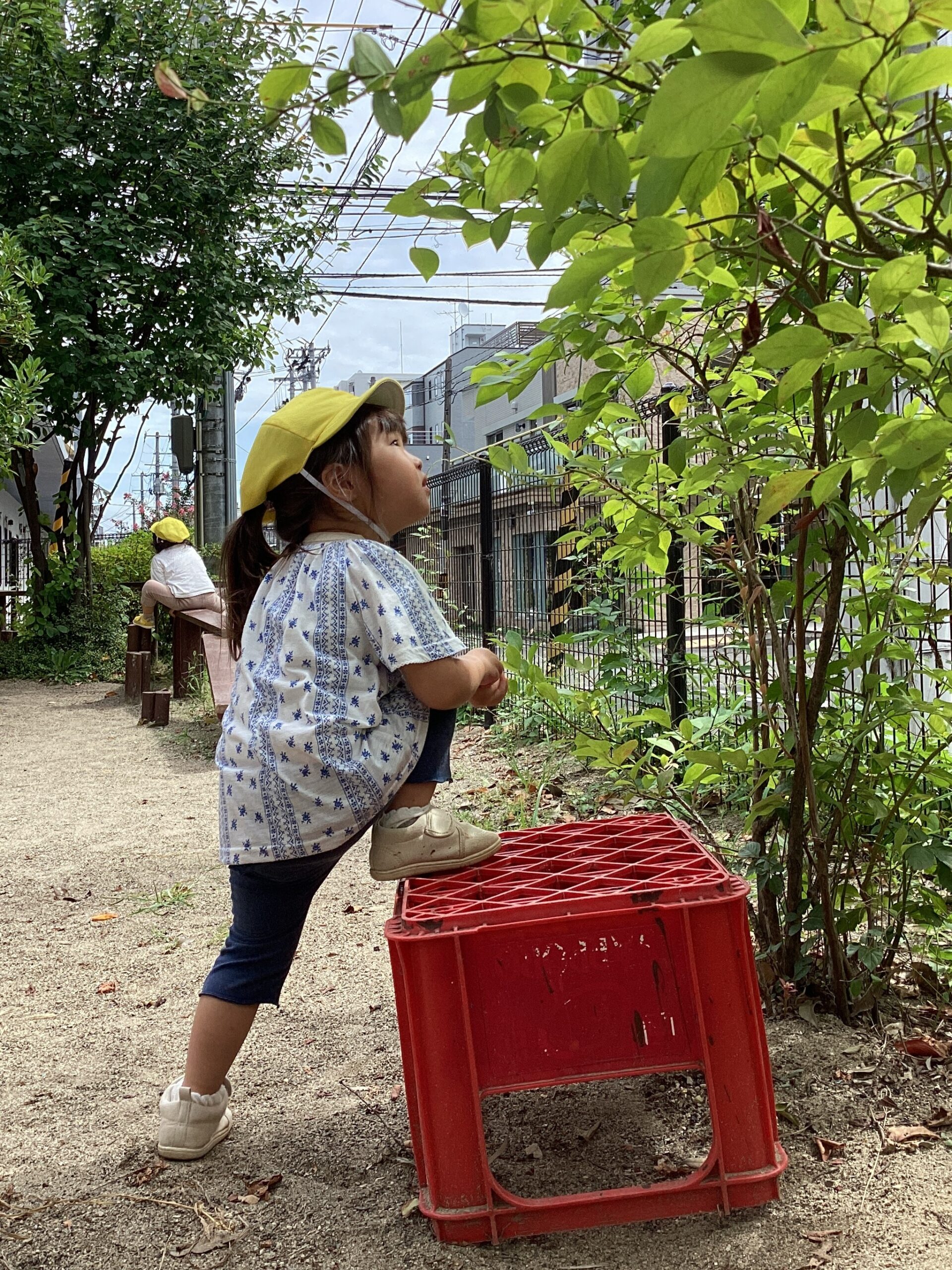 園庭には不思議がいっぱい！【パリス錦町保育園】 | 社会福祉法人みらい